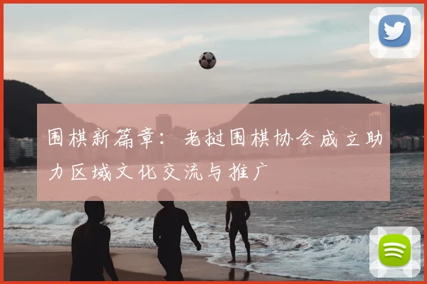 围棋新篇章：老挝围棋协会成立助力区域文化交流与推广